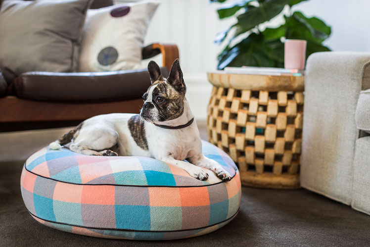 NICE_DIGS_CUSTOM_VINTAGE_WOOL_BED